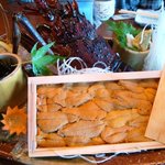 伊豫水軍 - 伊勢えびと雲丹のコラボは最高級