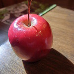 BON VIVANT - 日が差し込んできました。