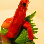 黄鶴 - ランチ　調理長おすすめコース　４５００円（税込）前菜四種盛り合わせのアップ【２０１９年３月】