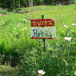 マハロカフェ リストランテ - シェフの看板シリーズ