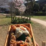 キッチンオリジン - アーモンドの花見弁当（＾∇＾）