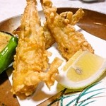 はつしろ - ふぐの唐揚げ