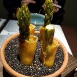 日本料理 TOBIUME - 