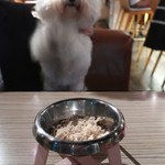 アネア　カフェ - あなたのササミ〜♬ 下でね