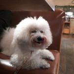 アネア　カフェ - あ〜美味しかった！！