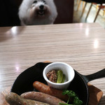 アネア　カフェ - ソーセージ盛合せ