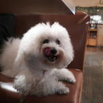 アネア　カフェ - いい匂いですね・・♡