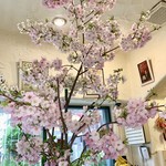 トニワン - 店内の桜、満開です。