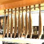 季節料理 薗 - 魚群