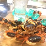 季節料理 薗 - 元気な沢蟹達