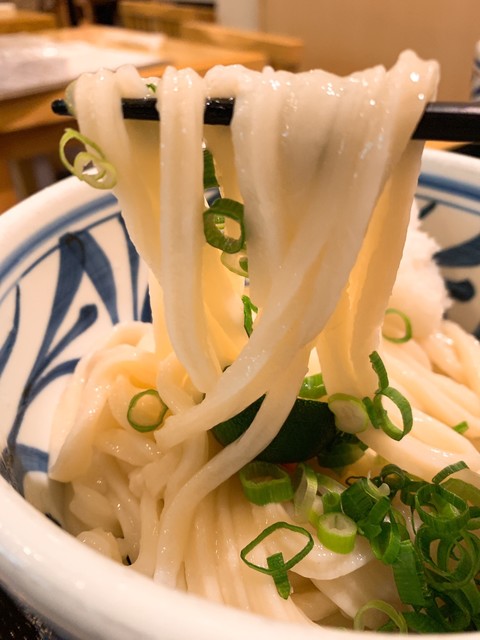 手打ちうどん うえだ>