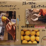 Torito Sawa Torido Shi - レモンの説明。
