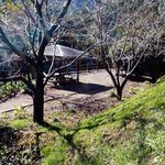 おがわ作小屋村 - 宿泊施設外観　春はさくらがきれいです。