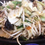 Kouraku - 肉野菜炒め接写