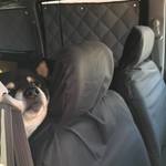 ピッザピッザピッザ - 