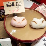 菓子処 喜久春 - 猫まんじゅう