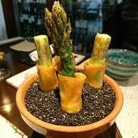 日本料理 TOBIUME - 天野さんのアスパラ グリーンアスパラガス(福岡県若松産)の春巻き揚げ