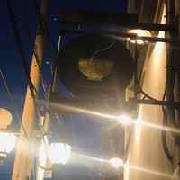 自家製粉石臼挽きうどん 青空blue 本店 - 