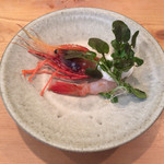 余市SAGRA - 余市のぼたんえび