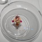 グランド ダイア - "くちどけ"　ズワイ蟹　カリフラワー