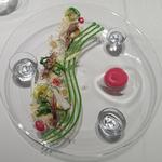 グランド ダイア - "弥生"　蛍烏賊　スルメ烏賊　菜の花