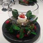 グランド ダイア - 氷結　苺　ふわとろ