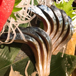 旬酔基じ - ピッカピカ♡