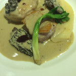 マッシュルーム - 阿波尾鶏とフレッシュモリーユのフリカッセ