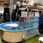 函館朝市 駅二市場 活いか釣り広場 - 待っている間に撮影した、生け簀。元気に泳ぎまくってマス。