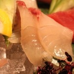 近畿大学水産研究所 - 