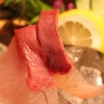 近畿大学水産研究所 - 