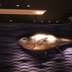 近畿大学水産研究所 - 