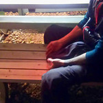 吾助 - 店先で出来上がり待ち