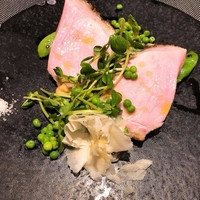オッジ ダルマット 西麻布店 - 