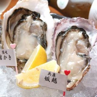シーズン真っ盛り！真牡蠣＆三重県的矢湾より直送の『的矢かき』