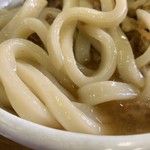 日向うどん財光寺 - 衝撃的なうどん