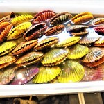 KAKIYA シェル＆シュリンプ - 