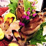 OYSTERBAR SHELL&SHRIMP - 