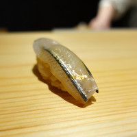 冨所 - （2019年2月）サヨリ(๑˃̵ᴗ˂̵)