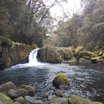 山ごぼう - 菊池渓谷も行ったよ