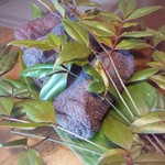 山ごぼう - おしぼり