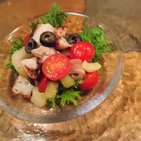 Rojoc - 