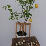 レモンカフェ - 