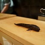 たくまんま - ムツゴロウ