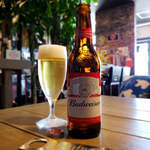 $$cafe Bronx Moment Wag - 