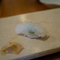 たつ庄 - ヤリイカ