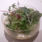 カセント - 今日届いた野菜たち