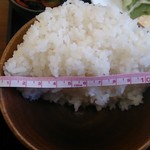 魚康 - トロカツ定食1080円　お茶碗の直径12cm