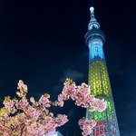 東向島珈琲店 - おまけ。カラフルスカイツリー＆桜。（色が多過ぎてくどい写真になっちゃった…。）