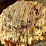 Okonomiyaki Momiji - 